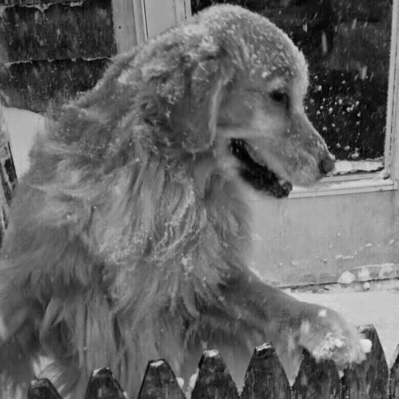 Meet your Posher, Jane - Picture 1 of 1